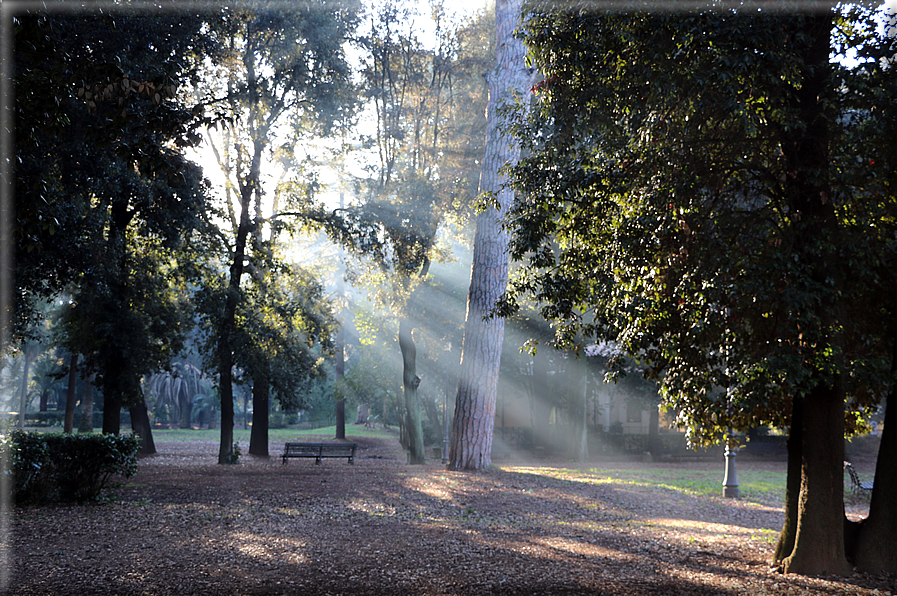 foto Parco di Villa Borghese